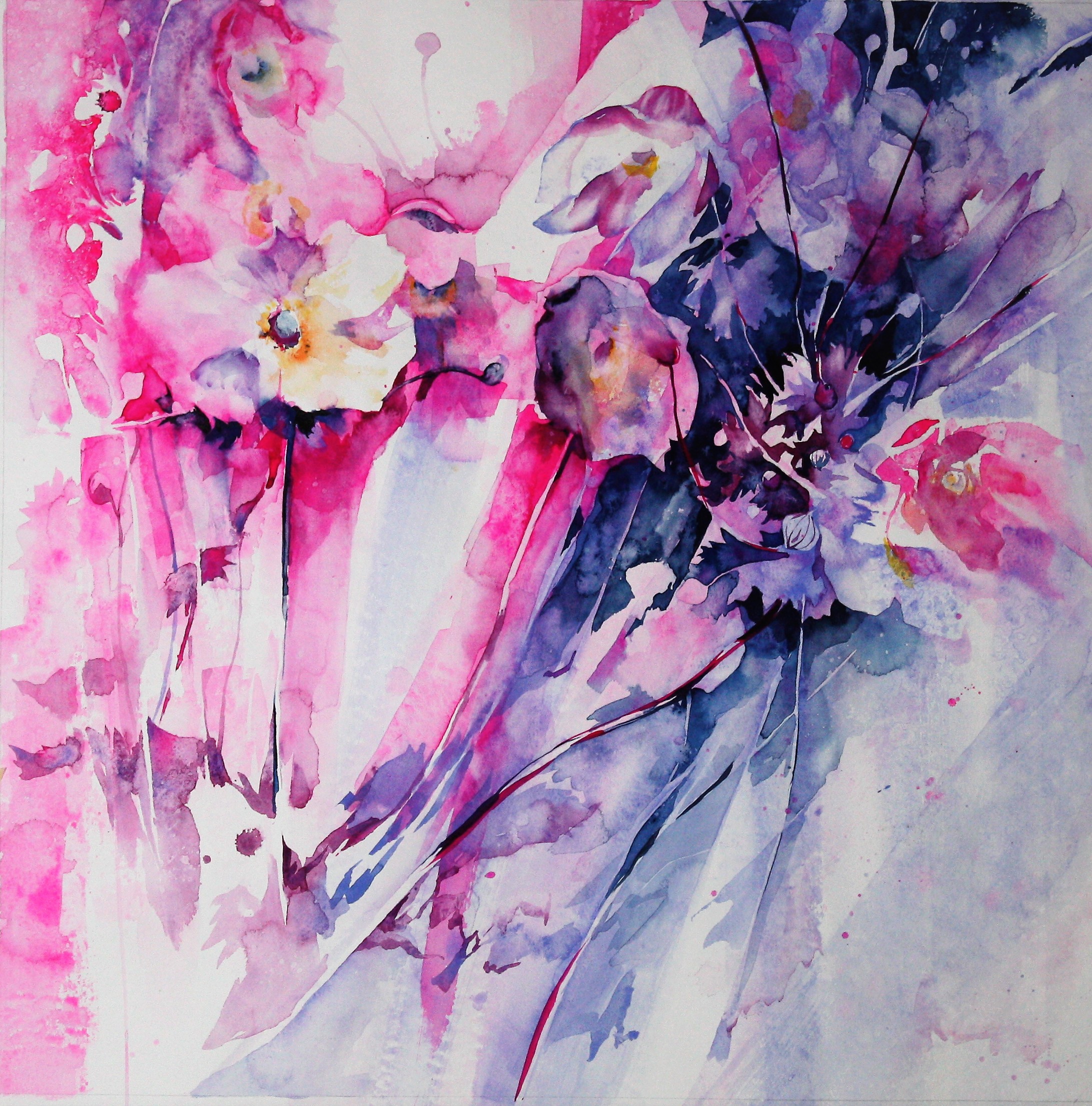Anemonen
